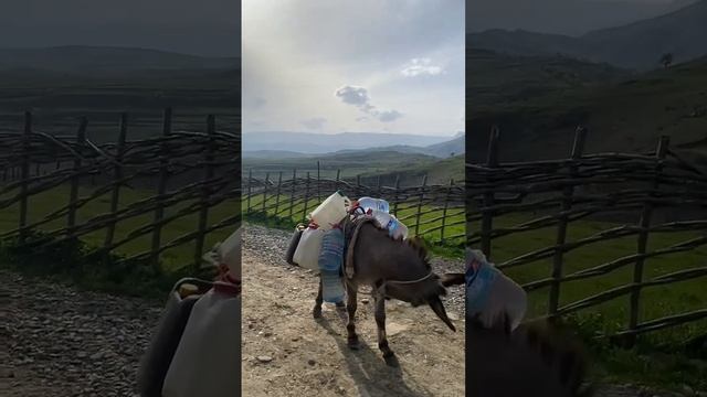 Бускри , Дахадаевский район смотреть онлайн