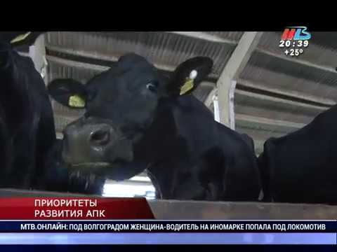 В Калачевском районе появится крупнейший в новой истории региона животноводческий комплекс смотреть онлайн