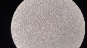 Кровь после приёма экстракта пихтового