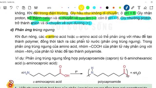 [HÓA 12 - MỚI] BÀI 9: AMINO ACID VÀ PEPTIDE #hoacobichngoc #hoa12 #aminoacids12 #peptide смотреть онлайн
