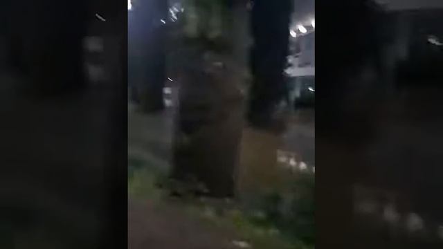 Моршин после дождя 24.07.2018 смотреть онлайн