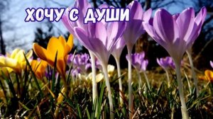 С прощённым воскресеньем.