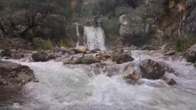 Torrent d'Aumadra 6 de agosto 2016 смотреть онлайн