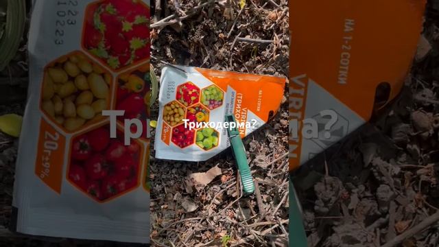 Триходермін без триходерми смотреть онлайн