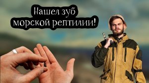 ЗУБ ИХТИОЗАВРА НАЙДЕН! А также зубы акул, окаменелые кораллы и множество других окаменелостей!