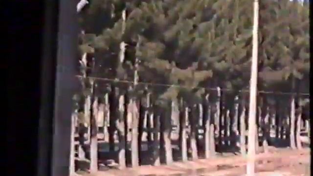 Аэропорт Герата, знаменитые Гератские сосны, 1986 г. Афганистан смотреть онлайн