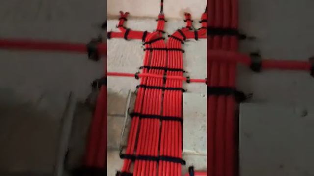 Почему современный электромонтаж это дорого? #электромонтаж #электрика #electric #лайфхаки #стройка смотреть онлайн