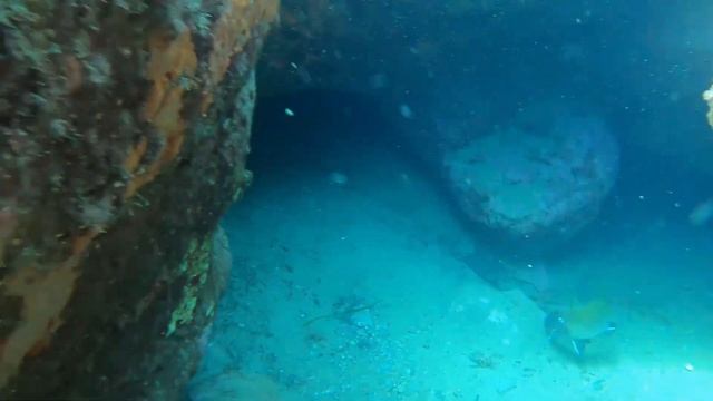 Подводная охота в Турции. Средиземное море. Алания. Махмутлар. смотреть онлайн