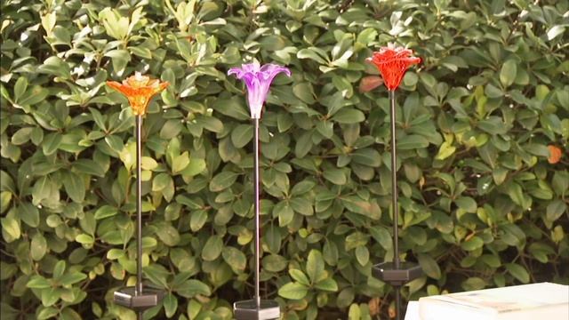 Compass Home Set of 3 Solar Flower Stakes with LED Lights on QVC смотреть онлайн