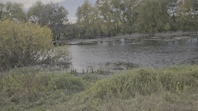 1000035846.mp4 смотреть онлайн