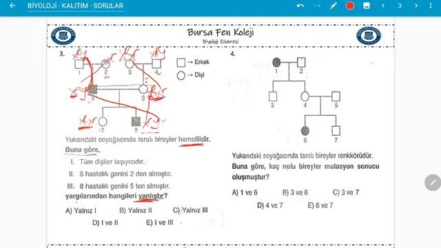 BİYOLOJİ - KALITIM (EŞEYE BAĞLI) - SORU ÇÖZÜM - 1 смотреть онлайн