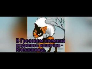 История Кленовицы. Коты Воители