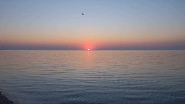 Фотосессии на море.Фотограф моб.067-939-41-89 Доступная цена. Быстрый срок отдачи фото. Кирилловка смотреть онлайн
