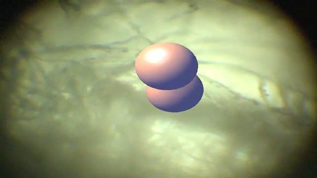 "Micro Vignettes #1" смотреть онлайн