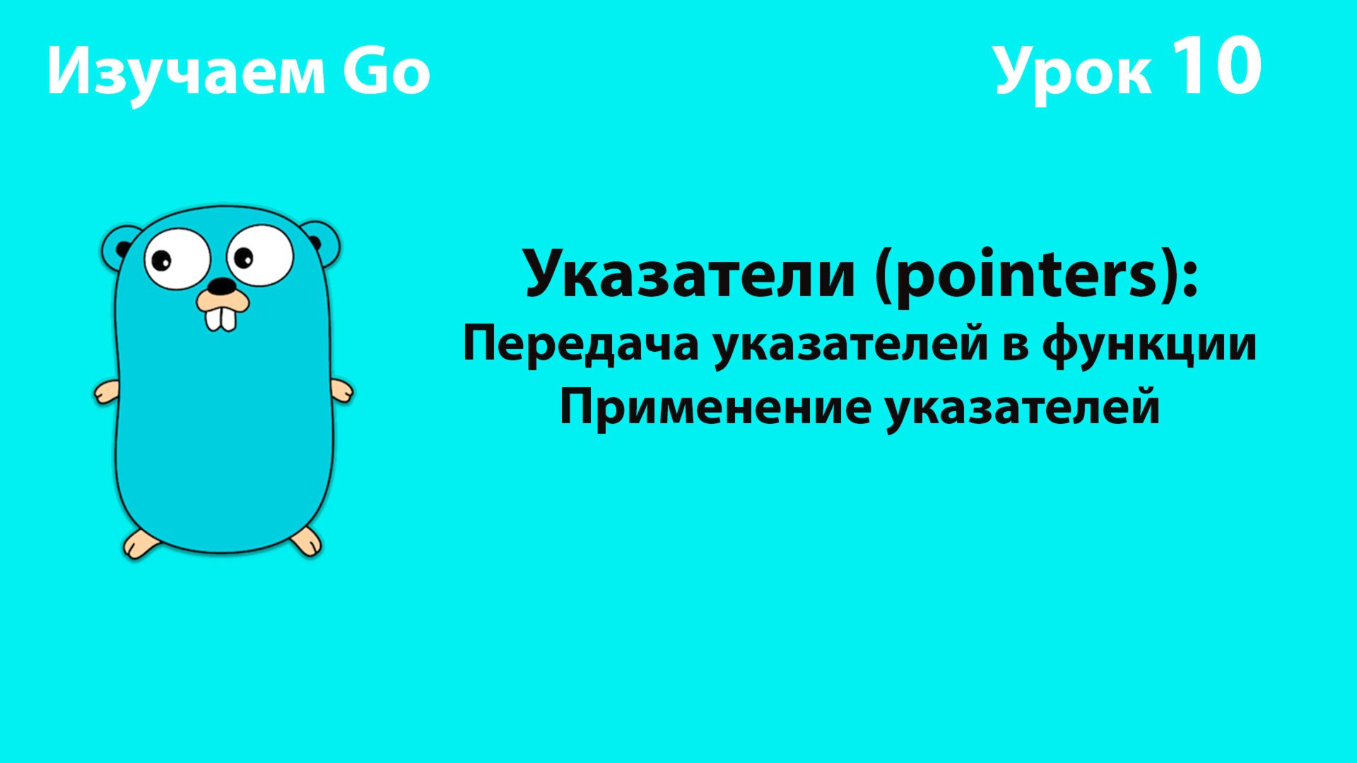 Изучаем Golang. Урок №10. Указатели (2). Usecases
