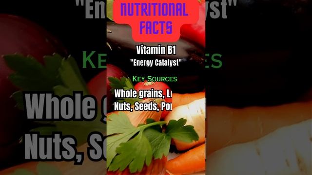 Vitamin B1 смотреть онлайн