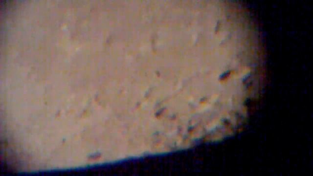 Der Mond mit einen 9mm Okular 2 смотреть онлайн