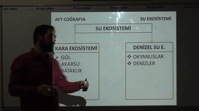 AYT Coğrafya (1.ÜNİTE ) - Ekosistem ve Madde Döngüleri смотреть онлайн