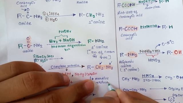 Most Imp Question of Aldehyde ketone & carboxylic acid|Amine Conversion|Alcohol Phenol|CBSE 2023 смотреть онлайн