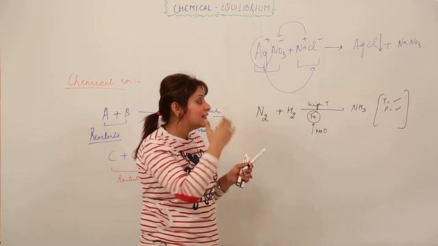 MOST IMPORTANT LECTURE l CBSE CLASS 11 l CHAPTER 7 l CHEM l Chemical Equillibrium l intro l L1 смотреть онлайн
