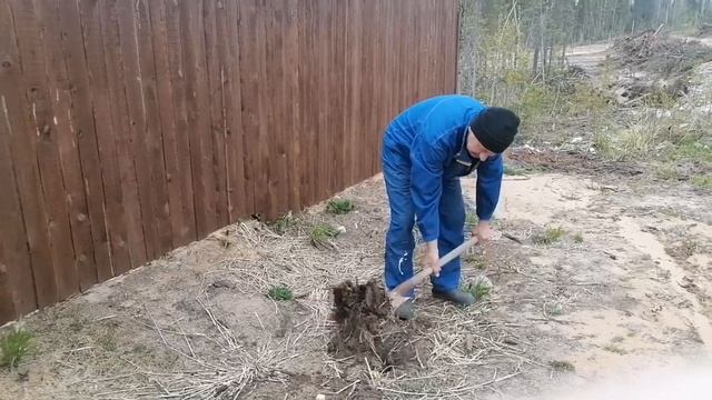 9 июня 2024 г. смотреть онлайн