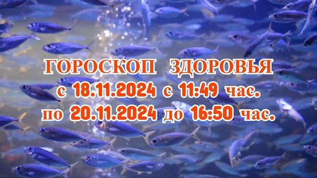 «ГОРОСКОП ЗДОРОВЬЯ с 18 по 20 НОЯБРЯ 2024 года!» смотреть онлайн