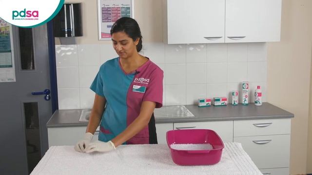 How To Collect A Urine Sample From Your Cat: PDSA Petwise Pet Health Hub смотреть онлайн