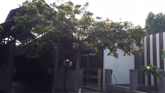 QURBAN 2021| IKLAN QURBAN DARI MAKMUR JAYA FARM смотреть онлайн