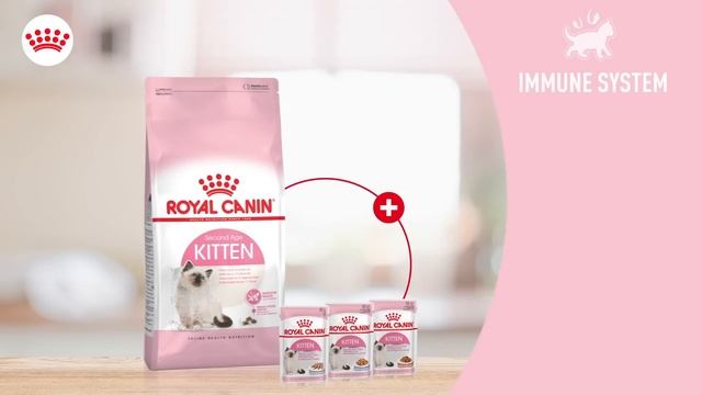 Royal Canin Kitten Hamper - Start Your Kitten's Life with the Best Nutrition! смотреть онлайн