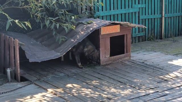 Большая уборка и новенькая Лилу смотреть онлайн