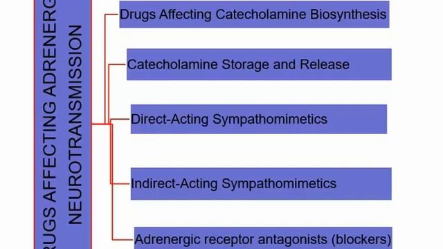 كيمياء طبية 3 الادرينالين الجزء الأول (Medicinal chemistry 3 Adrenergic part 1) смотреть онлайн