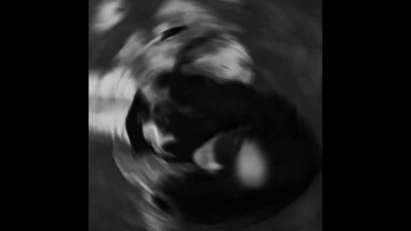 [FREE FOR PROFIT] ASAP ROCKY TYPE BEAT - NO HEART | Free For Profit Beats