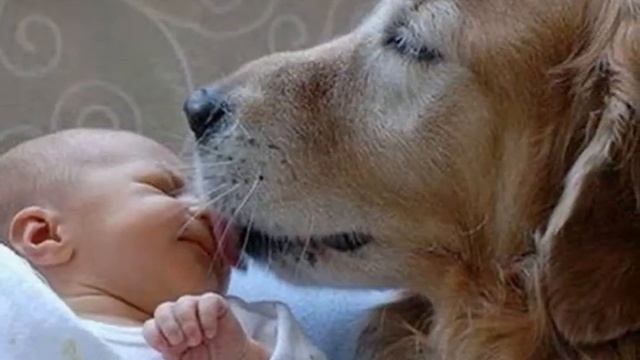 Дети тишины смотреть онлайн