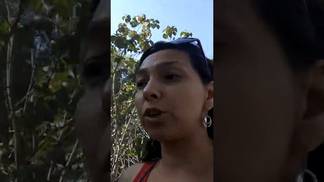 Оглянись вокруг!! смотреть онлайн