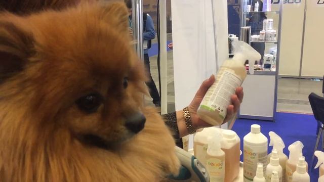 Отзыв о DuftaPet (Дуфтапет), о средствах Dufta (Дуфта, Дюфта). Зоосфера 2016.