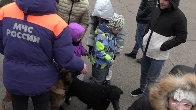 Буду бдительным на льду и на воде смотреть онлайн