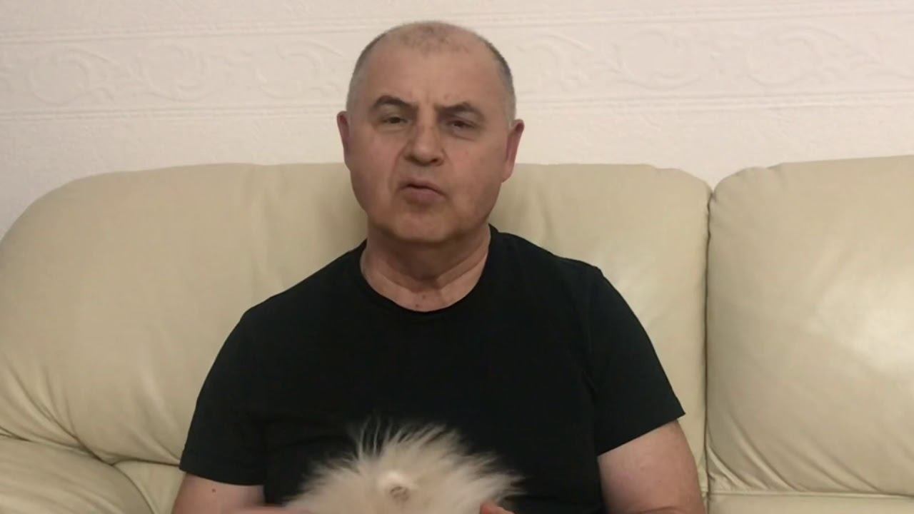 ЗАВИСТЬ смотреть онлайн