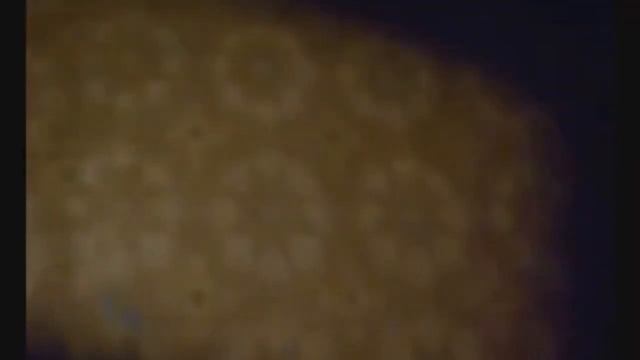 я шепну тебе на ушко смотреть онлайн