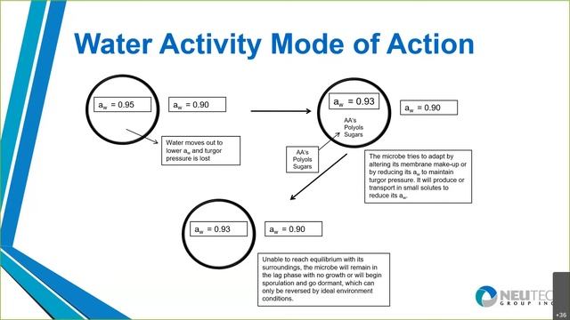 Water Activity Measurement and Microbial Growth Webinar смотреть онлайн