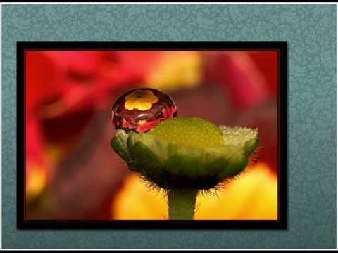 Paul Mauriat - Rain and tears (1968) смотреть онлайн