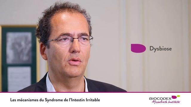 Les mécanismes du Syndrome de l’Intestin Irritable - Pr. Jean-Marc Sabaté смотреть онлайн