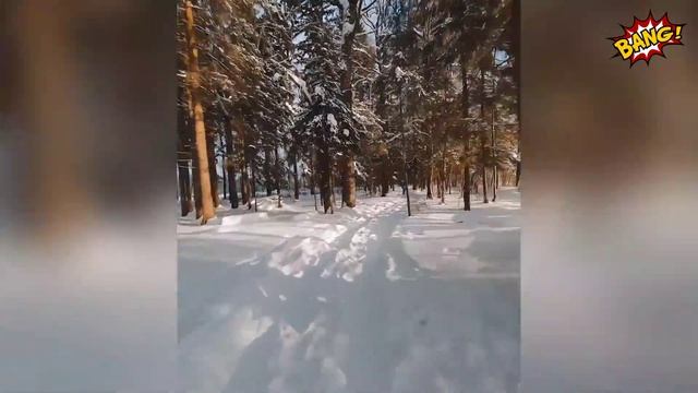 ПОДБОРКА ПРИКОЛОВ 2024✅️ ЛУЧШИЕ МОМЕНТЫ, ПОЗИТИВЧИК😉👌🔥 смотреть онлайн