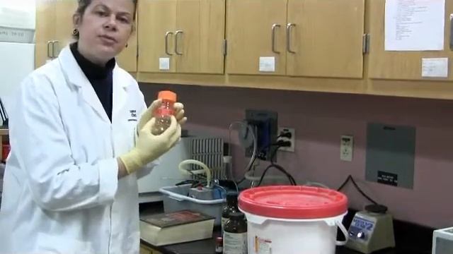 EnzymeKineticsLab смотреть онлайн