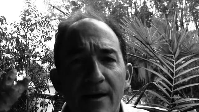 avantages de curcumine смотреть онлайн