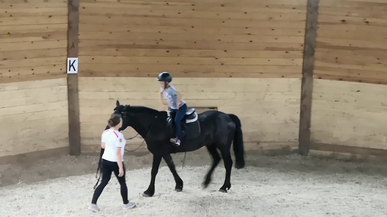 Урок верховой езды №1 смотреть онлайн