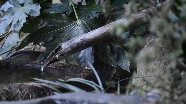 Relaxing Music with Bamboo Water Fountain | Meditation, Healing and Sleep Music | Musical # 19 | смотреть онлайн