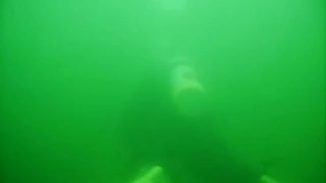 Diving France Park смотреть онлайн