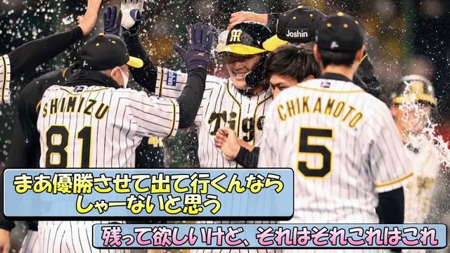 【虎の4番】阪神・大山悠輔 来年FAやけど獲る球団あるんか？【なんJ 阪神ファン 反応 まとめ】【プロ野球ニュース】 смотреть онлайн