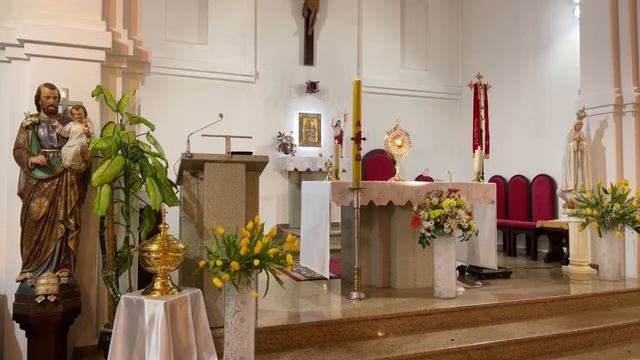 Св. Месса - четверг 18.04.2024 в 18.00, Розарий и Адорация до 20.00 смотреть онлайн