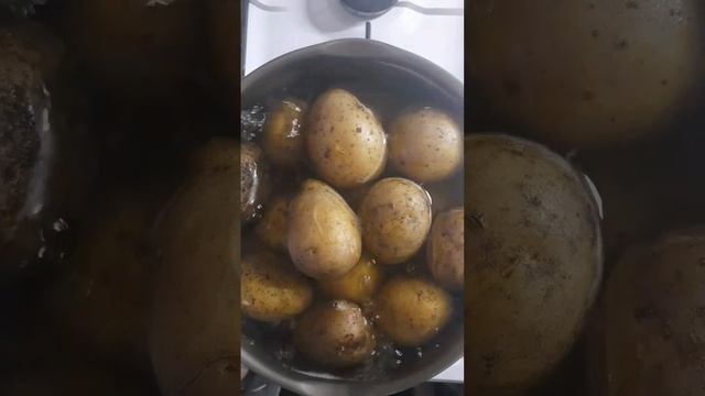 Весёлые Эксперименты с Веселой Радостью